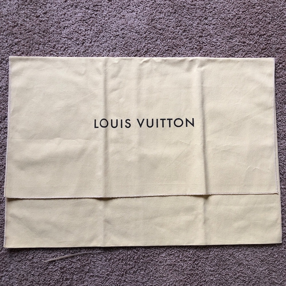 Louis Vuitton dust cover bag